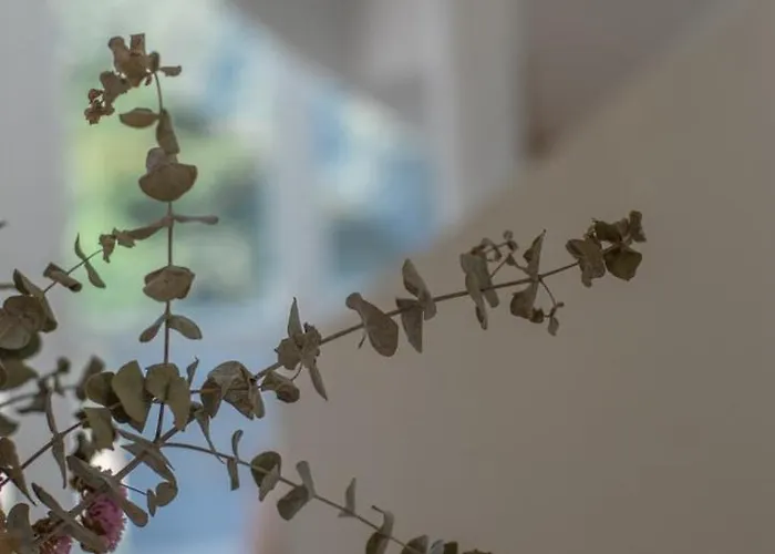 Lägenhet The Dome Oporto